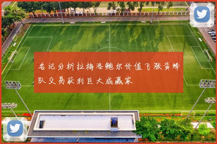 名记分析拉梅洛鲍尔价值飞涨黄蜂队交易获利巨大成赢家