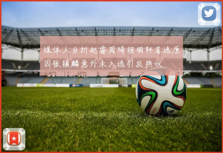 媒体人分析赵睿周琦胡明轩落选原因张镇麟意外未入选引发热议