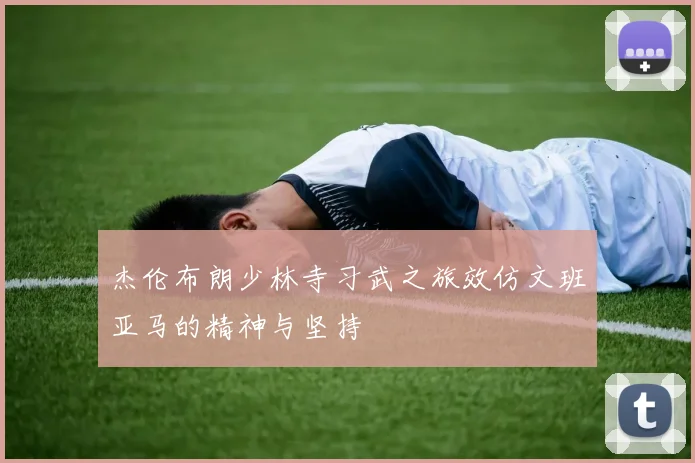 杰伦布朗少林寺习武之旅效仿文班亚马的精神与坚持