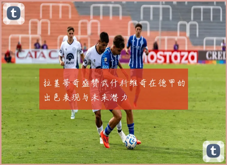 拉基蒂奇盛赞武什科维奇在德甲的出色表现与未来潜力